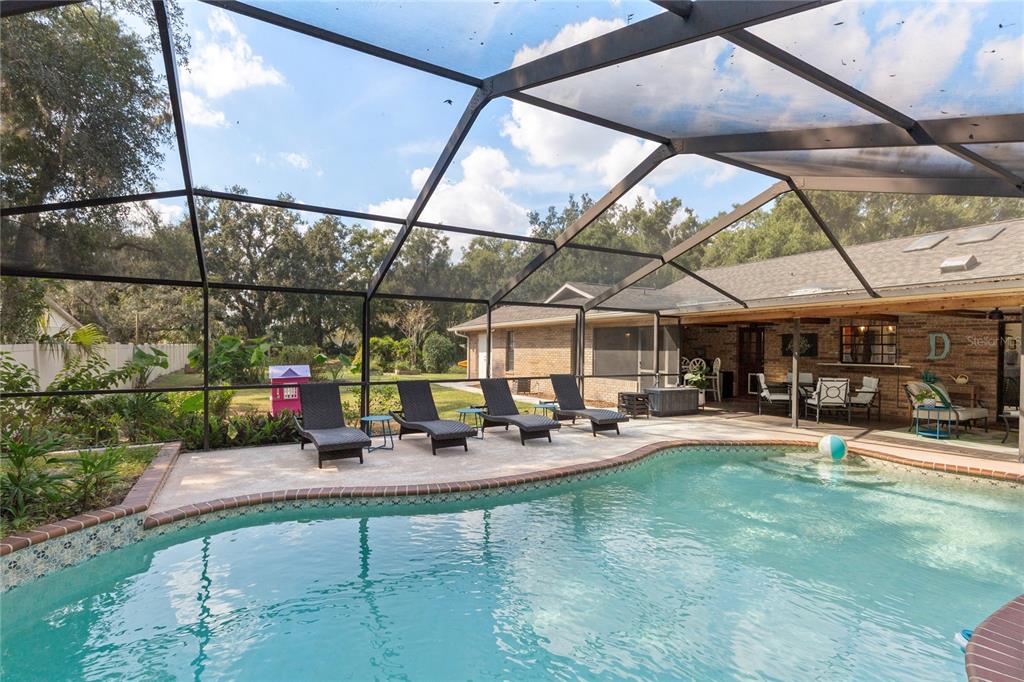 2941 Chelsea Woods Drive Valrico, FL 33596 - Photo 37 of 48 a view of a backyard with table and chairs under an umbrella