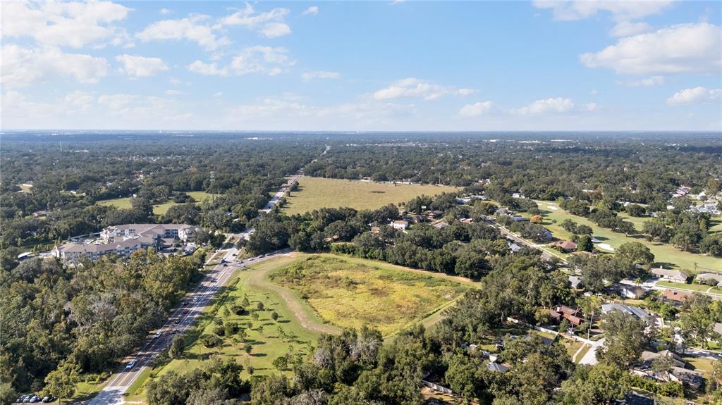 2941 Chelsea Woods Drive Valrico, FL 33596 - Photo 45 of 48 an aerial view of residential houses with outdoor space