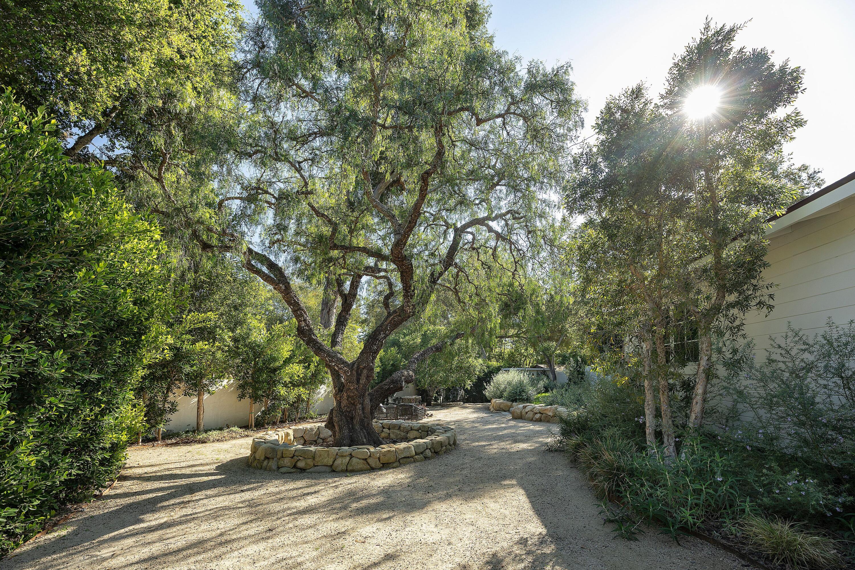 487 Hot Springs Road Santa Barbara, CA 93108 - Photo 36 of 47 a park view with large trees