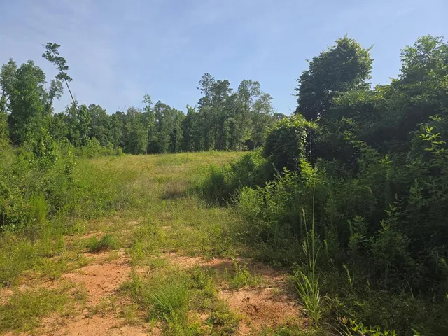 $50,000 | 0 Browder Lane, Centreville, MS 39631
