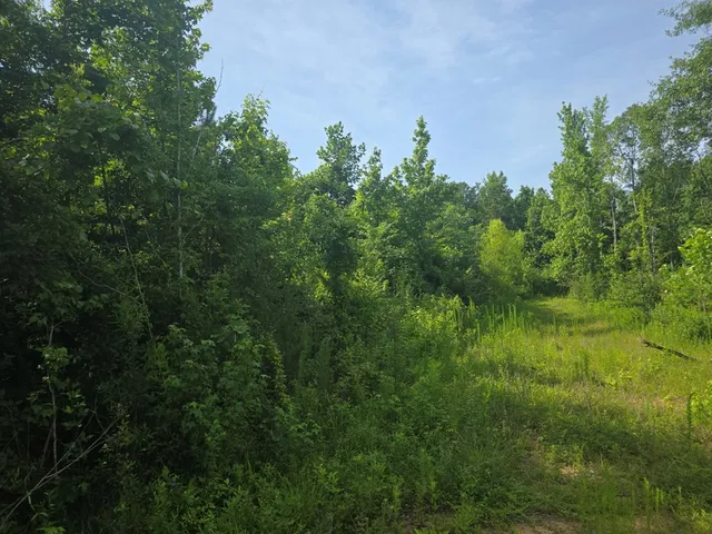 $50,000 | 0 Browder Lane, Centreville, MS 39631