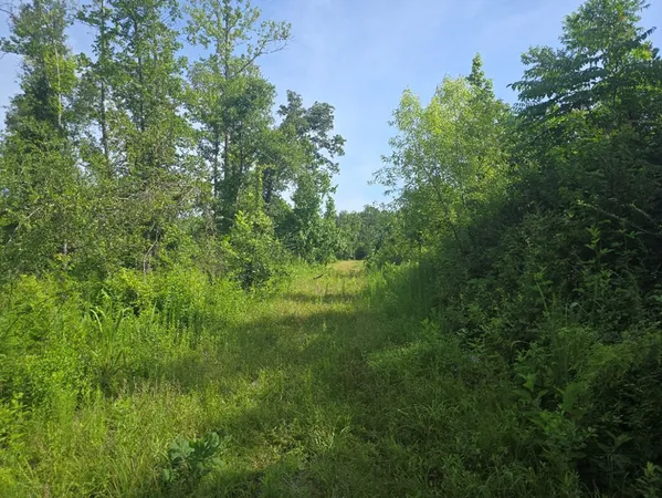 $50,000 | 0 Browder Lane, Centreville, MS 39631