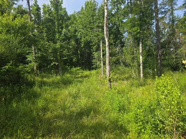 $50,000 | 0 Browder Lane, Centreville, MS 39631