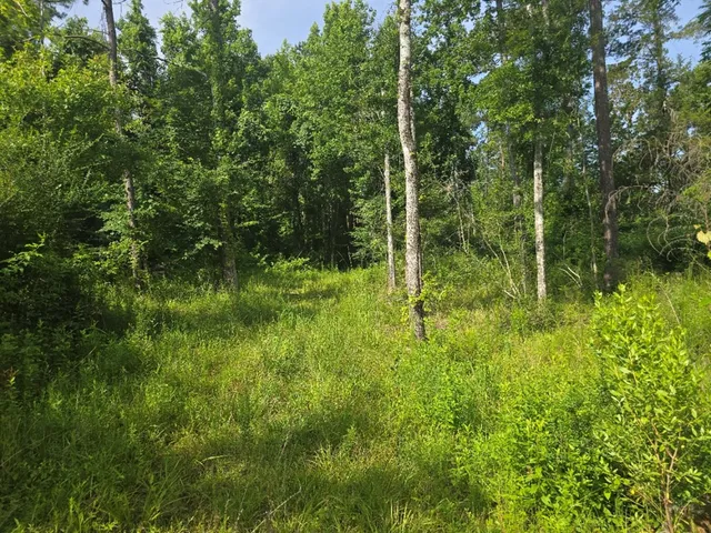 $50,000 | 0 Browder Lane, Centreville, MS 39631