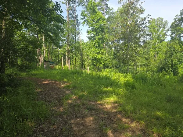 $50,000 | 0 Browder Lane, Centreville, MS 39631