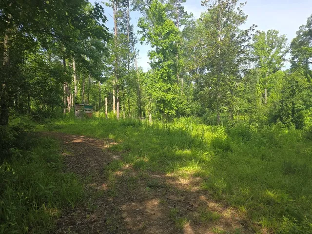 $50,000 | 0 Browder Lane, Centreville, MS 39631