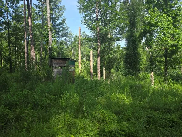 $50,000 | 0 Browder Lane, Centreville, MS 39631