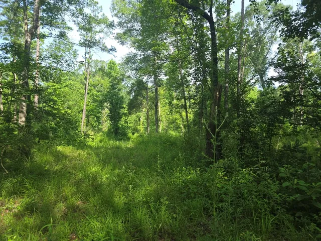 $50,000 | 0 Browder Lane, Centreville, MS 39631