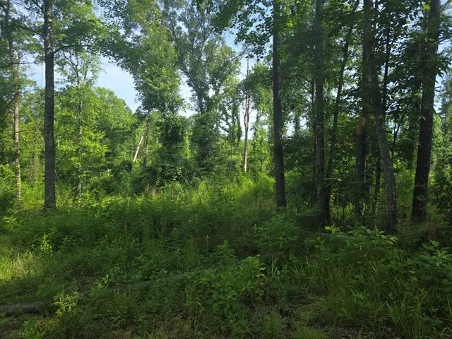 $50,000 | 0 Browder Lane, Centreville, MS 39631