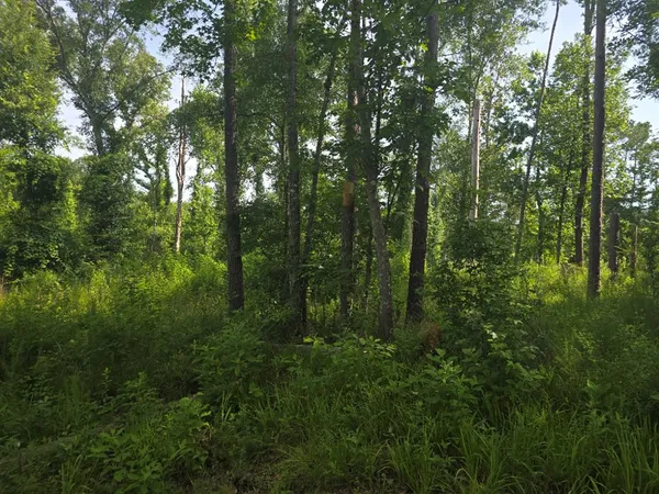 $50,000 | 0 Browder Lane, Centreville, MS 39631
