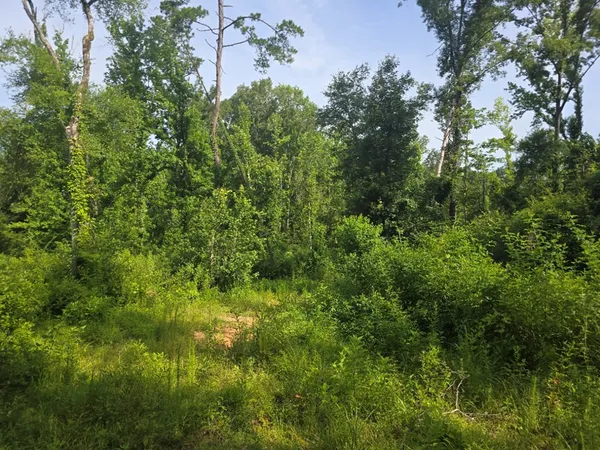 $50,000 | 0 Browder Lane, Centreville, MS 39631