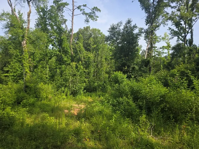 $50,000 | 0 Browder Lane, Centreville, MS 39631