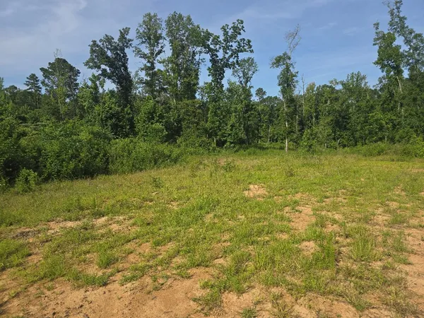$50,000 | 0 Browder Lane, Centreville, MS 39631