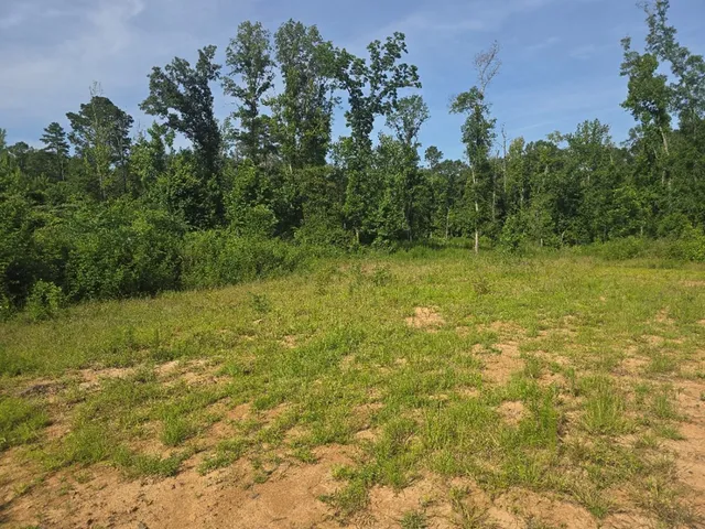 $50,000 | 0 Browder Lane, Centreville, MS 39631