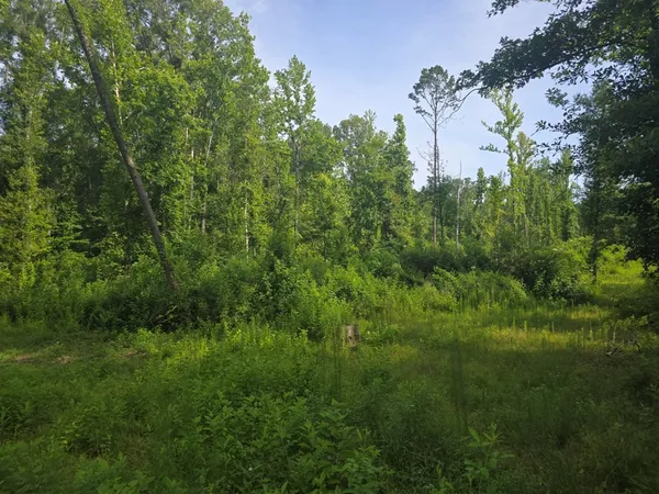 $50,000 | 0 Browder Lane, Centreville, MS 39631