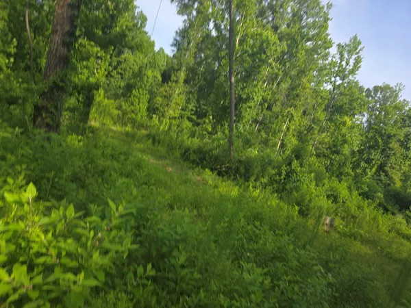 $50,000 | 0 Browder Lane, Centreville, MS 39631