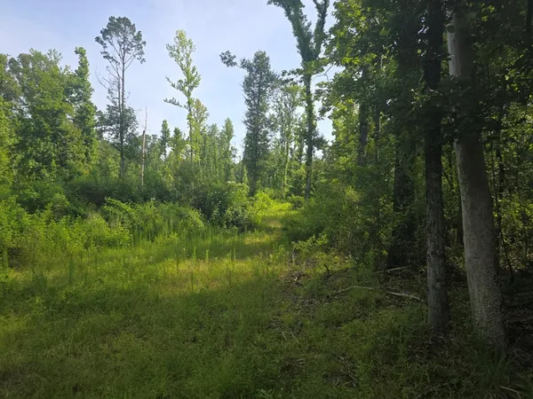 $50,000 | 0 Browder Lane, Centreville, MS 39631