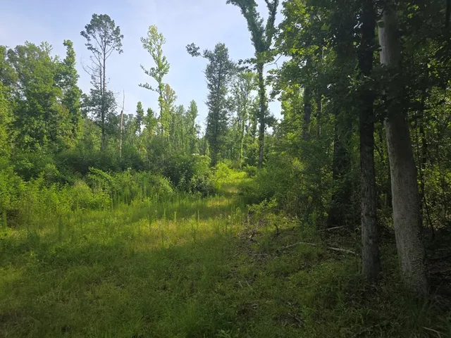 $50,000 | 0 Browder Lane, Centreville, MS 39631