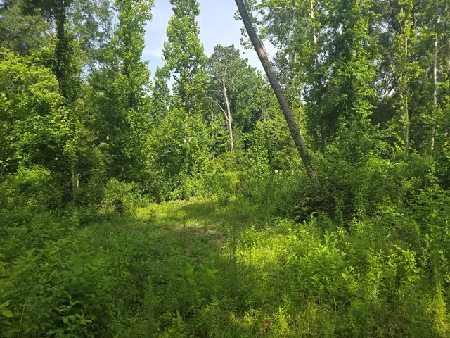 $50,000 | 0 Browder Lane, Centreville, MS 39631