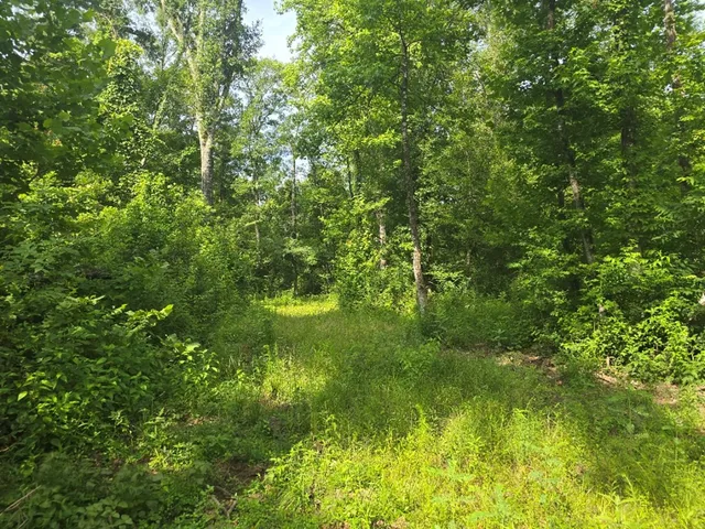 $50,000 | 0 Browder Lane, Centreville, MS 39631