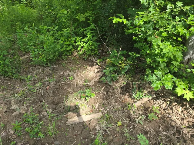 $50,000 | 0 Browder Lane, Centreville, MS 39631