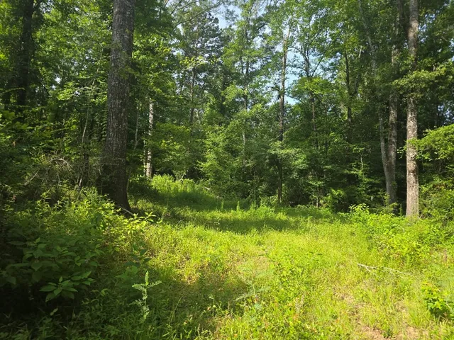 $50,000 | 0 Browder Lane, Centreville, MS 39631