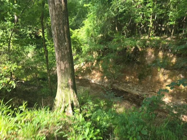 $50,000 | 0 Browder Lane, Centreville, MS 39631