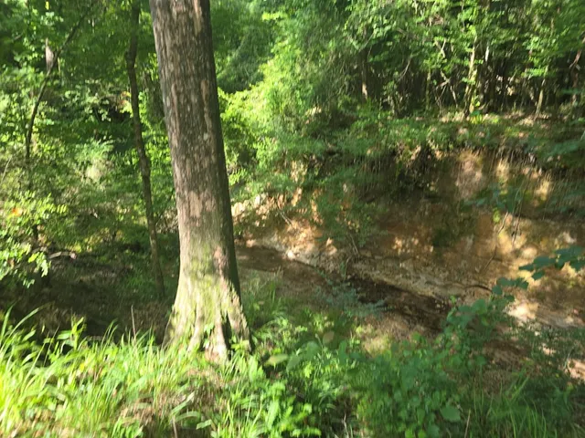 $50,000 | 0 Browder Lane, Centreville, MS 39631