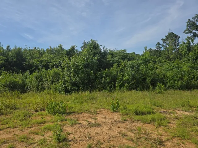 $50,000 | 0 Browder Lane, Centreville, MS 39631