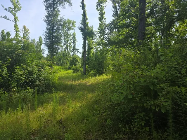 $50,000 | 0 Browder Lane, Centreville, MS 39631