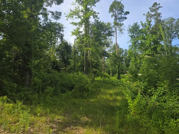 $50,000 | 0 Browder Lane, Centreville, MS 39631