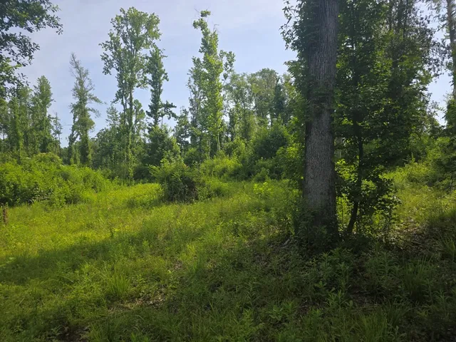 $50,000 | 0 Browder Lane, Centreville, MS 39631