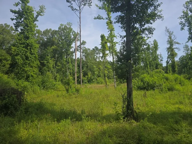 $50,000 | 0 Browder Lane, Centreville, MS 39631