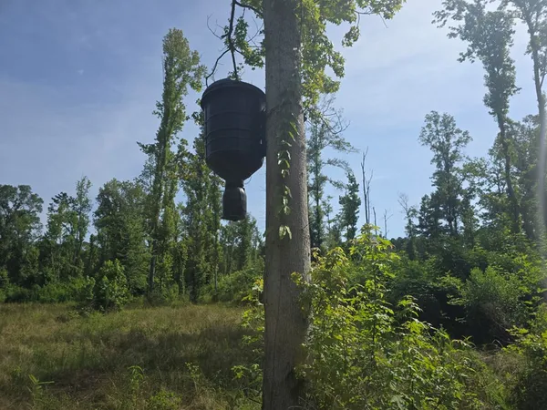 $50,000 | 0 Browder Lane, Centreville, MS 39631