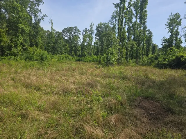 $50,000 | 0 Browder Lane, Centreville, MS 39631