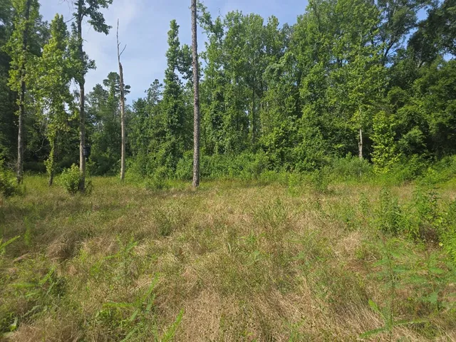 $50,000 | 0 Browder Lane, Centreville, MS 39631