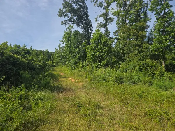 $50,000 | 0 Browder Lane, Centreville, MS 39631