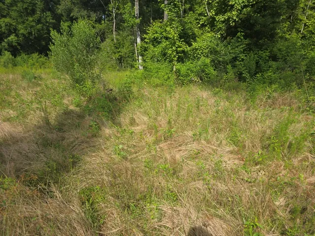 $50,000 | 0 Browder Lane, Centreville, MS 39631