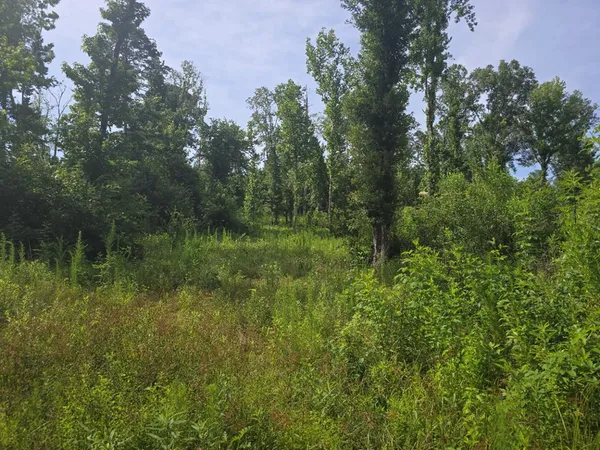 $50,000 | 0 Browder Lane, Centreville, MS 39631