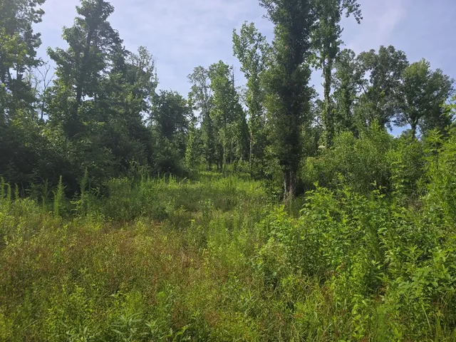 $50,000 | 0 Browder Lane, Centreville, MS 39631