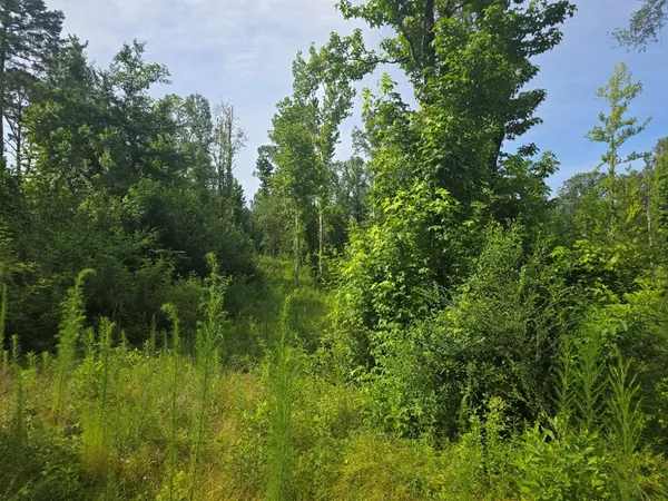 $50,000 | 0 Browder Lane, Centreville, MS 39631