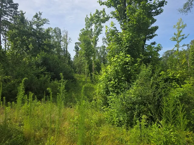 $50,000 | 0 Browder Lane, Centreville, MS 39631