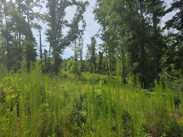 $50,000 | 0 Browder Lane, Centreville, MS 39631