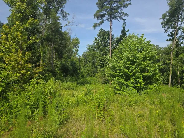$50,000 | 0 Browder Lane, Centreville, MS 39631