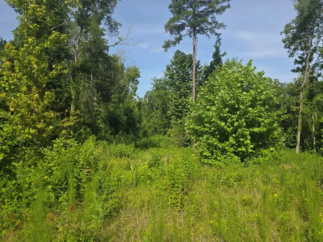 $50,000 | 0 Browder Lane, Centreville, MS 39631