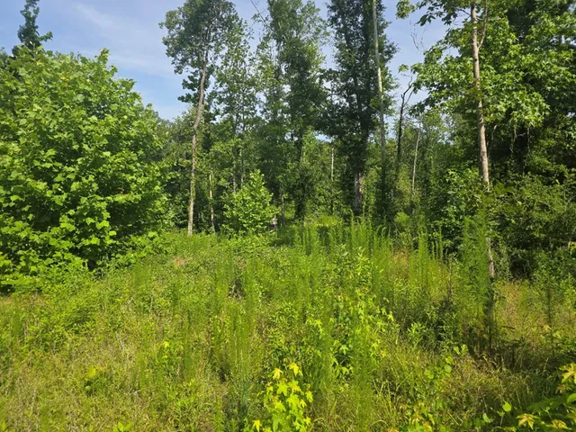 $50,000 | 0 Browder Lane, Centreville, MS 39631