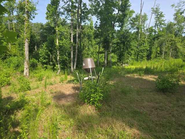 $50,000 | 0 Browder Lane, Centreville, MS 39631