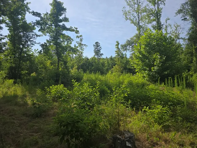 $50,000 | 0 Browder Lane, Centreville, MS 39631