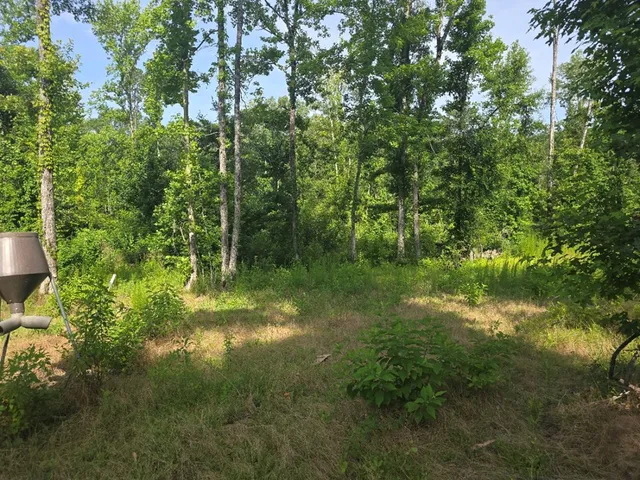 $50,000 | 0 Browder Lane, Centreville, MS 39631