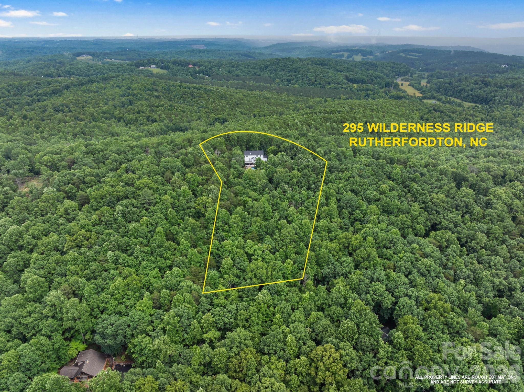 295 Wilderness Ridge Rutherfordton, NC 28139 - Photo 44 of 48
